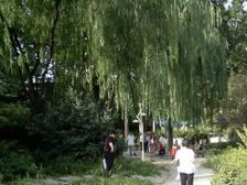 亮马桥·新源街·3室·1厅