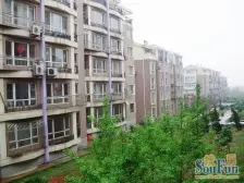 锦泉源B4区公寓 1室1厅 南