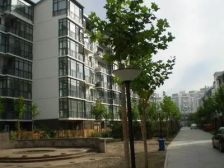 远大园六区 3室2厅 西南