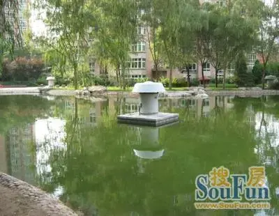 实景图