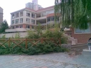 望京大西洋新城D区中间楼层复式无遮挡视野好