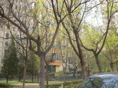  ��ׯС��3��1��2���ϱ�����20000.00Ԫ/�³��� 