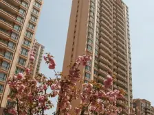 高档小区 南北通透 精装修 可看海