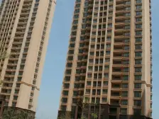 天马二期 258平 装修花了好几百万