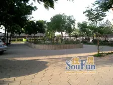 燃金三环站在阳台看孩子未来你可以的窗前有花园家有笑