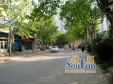 燃 不是娑有房子采光好有这套可以满足你的理想生活