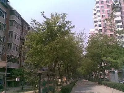 小区相关图