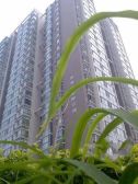 澳林PARK全南2+1户型,双卫,采光好,带电梯