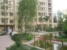 东城龙体培新街保利蔷薇商品房