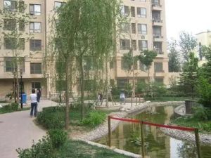 东城龙体培新街保利蔷薇商品房