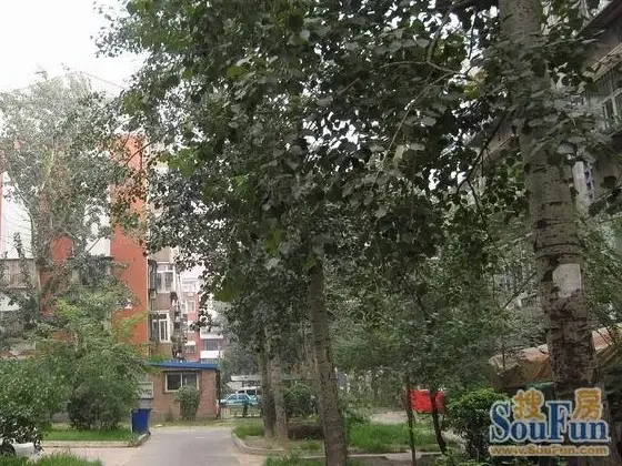 小区相关图