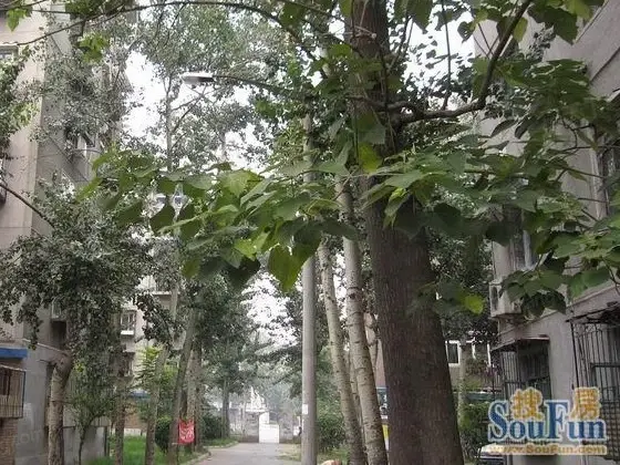 小区相关图