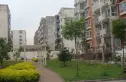 红桥鑫居实景图