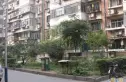 照耀里实景图