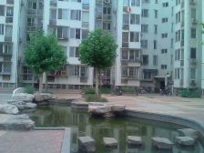 金鱼池中区 2室1厅 南 北