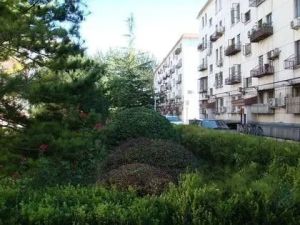 芳园南里西区正规跃层2居1996年楼龄