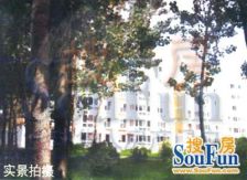 阳洲鑫园中层经典三居无遮挡首付24万,满五