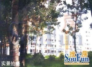阳洲鑫园中层经典三居无遮挡首付24万,满五