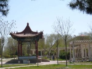 赛罕区步梯中间楼层采光刺眼房本满五