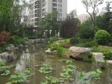 东三环禧福汇房产证满五年唯一,全明格局,有燃气