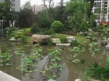 西大望路·禧福汇·苏式园林小区,百万精装修的3居2卫