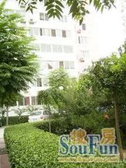 皂君庙14号院3室1厅南北