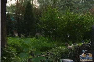 民族大学家属院4室1厅东南北