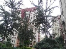 和平街十五区1室1厅东