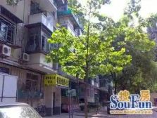 团结湖公园旁水碓子东路钢混两居采光好优选房源