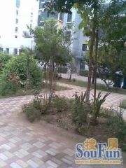 五街家园国税局宿舍2室1厅南