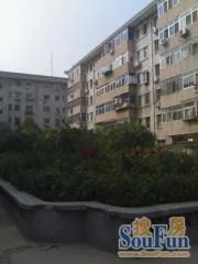 林场宿舍3室2厅南北