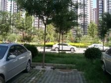 金顶街五区2室1厅南