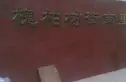 槐柏树街南里实景图