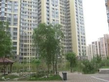 西苑西向大两居户型好格局好客厅对外近地铁