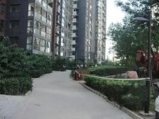 望京东南北通透2居中间层满五唯一随时看房