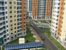 恋日花都 1室1厅 南