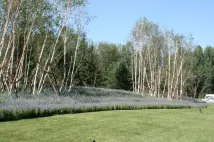 潮白河孔雀城园林实景图201008