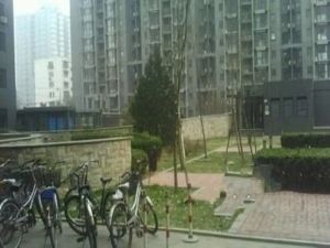 德胜·北广家园·1室1厅·05年建成·带电梯·好楼层·急售