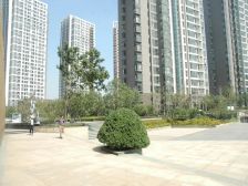 精装修,满五唯一 ,带车位位置好。