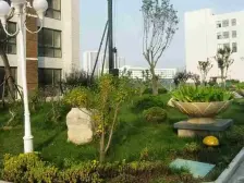 橡树湾 2室1厅 南