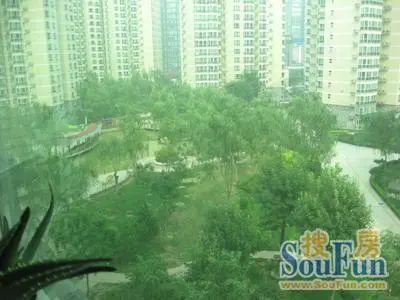 曙光花园颐天园实景图