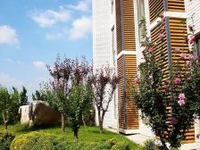 橡树湾1室1厅南