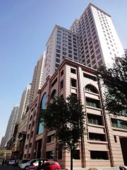 新阳路钻石地段电梯房两室大明厅