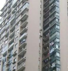 兆丰园南区2室1厅南北