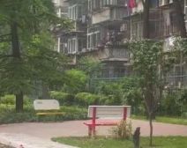 团结湖中路北一条3室1厅南北