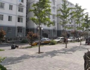 朝阳门地铁口东水井胡同3号楼南北三居