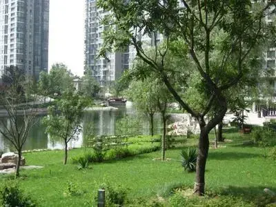 金桥国际公寓实景图