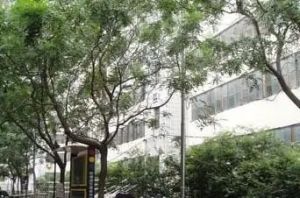 久筑物业1室1厅东西