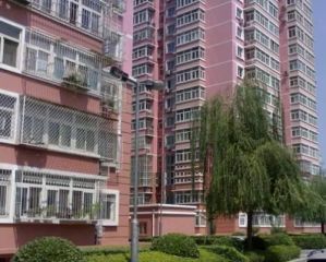 西罗园三区南北通透大三居双卫