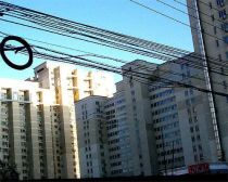 此房属于东城,70年产权,精装修跃层